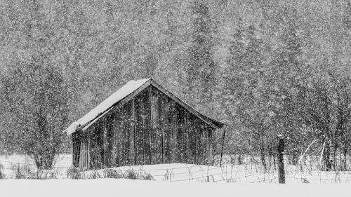Snow Day