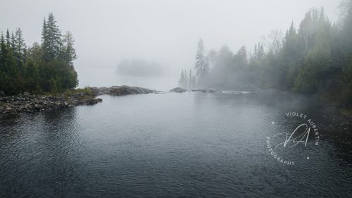 Misty Morning