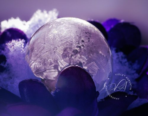 Purple Passion