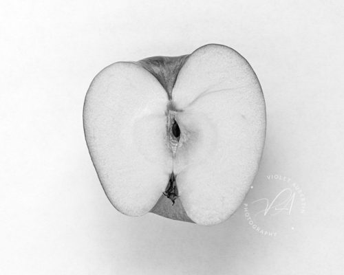 Seed - B & W