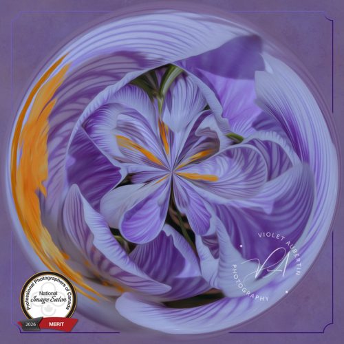 Abstract Crocus Symphony 2025 PPOC Eastern Salon - Merit - Experimental / Unclassified 2026 PPOC National Salon - Merit - Experimental / Unclassified & finalist Best in Class